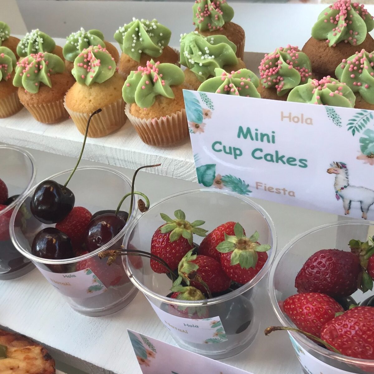 484630368_1278884427047374_2194462077960164984_n 484630368_1278884427047374_2194462077960164984_n