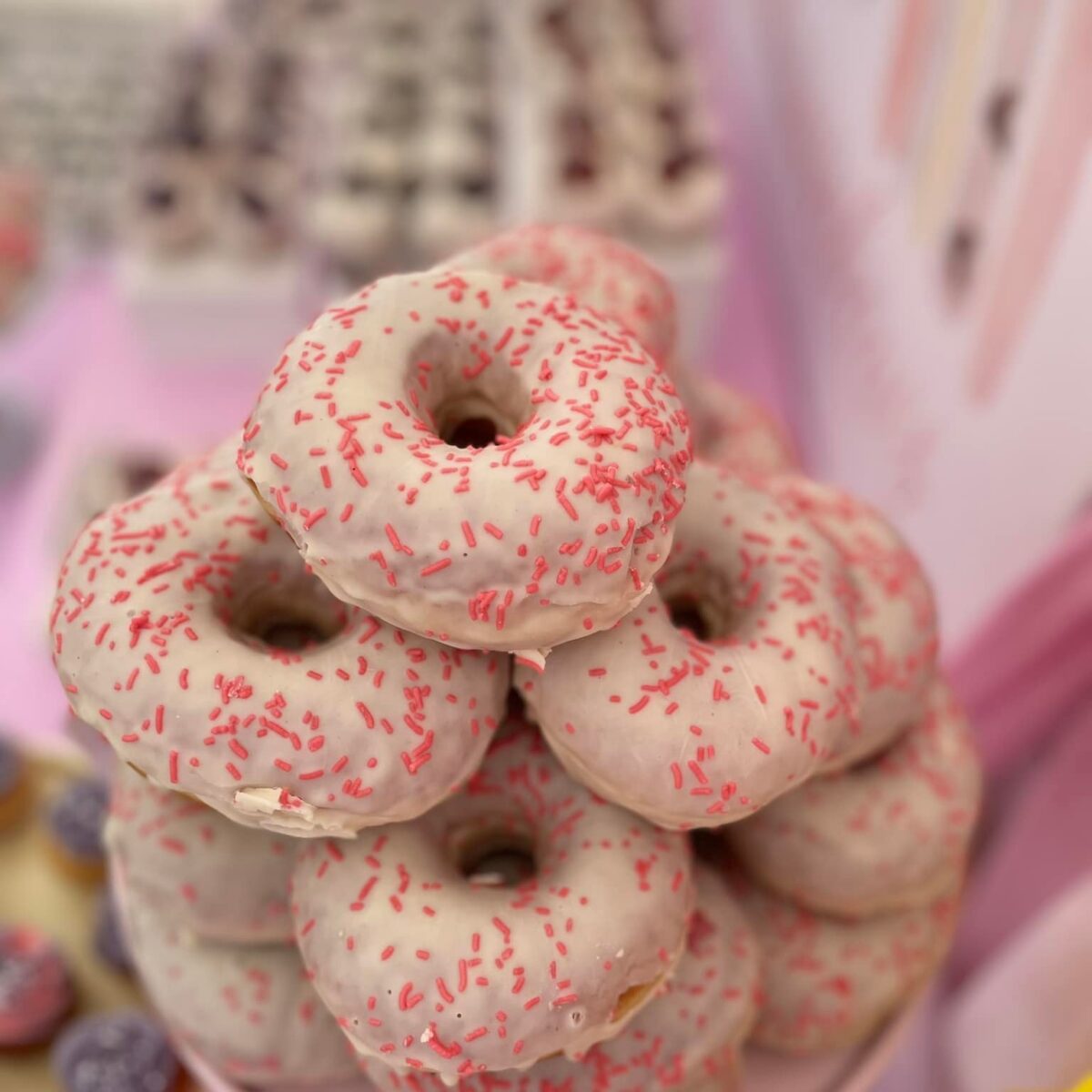 485169873_1280145906921226_5470245255976549369_n 485169873_1280145906921226_5470245255976549369_n