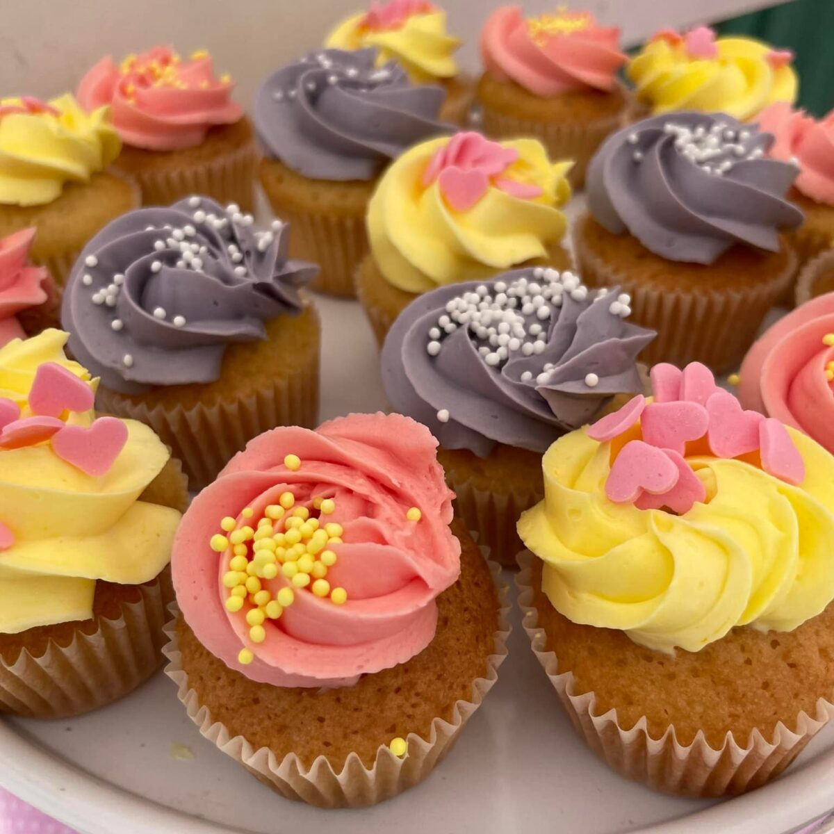 485733740_1279704053632078_5979041313305576756_n 485733740_1279704053632078_5979041313305576756_n