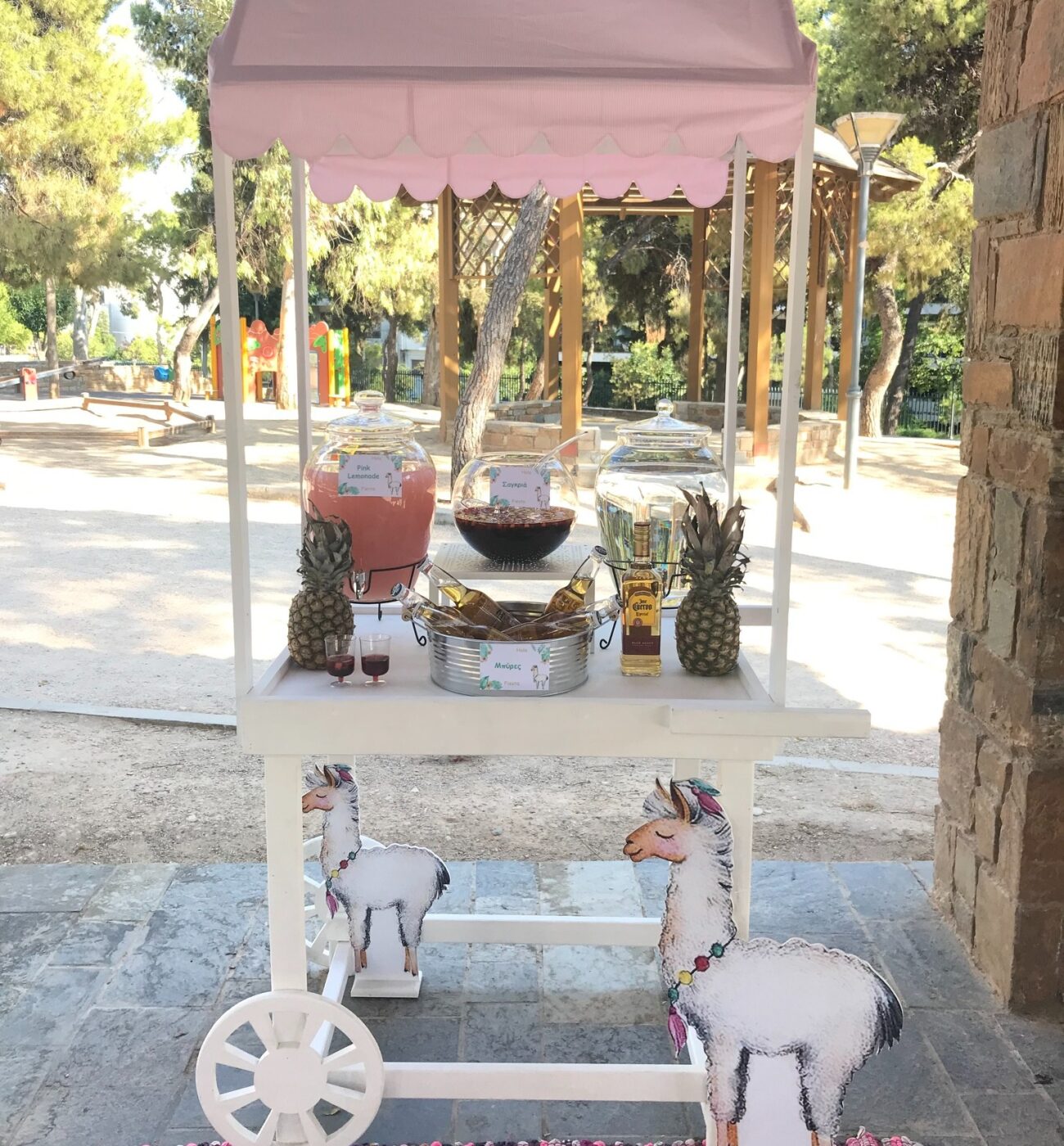 492216907_1314550240147459_7142255392661855865_n