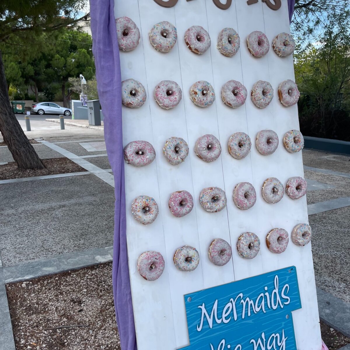 492230033_1314550393480777_6816568703339440979_n 492230033_1314550393480777_6816568703339440979_n