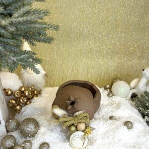 Χειροποίητο Κεραμικό Ρόδι Φοντανιέρα - Μόκκα